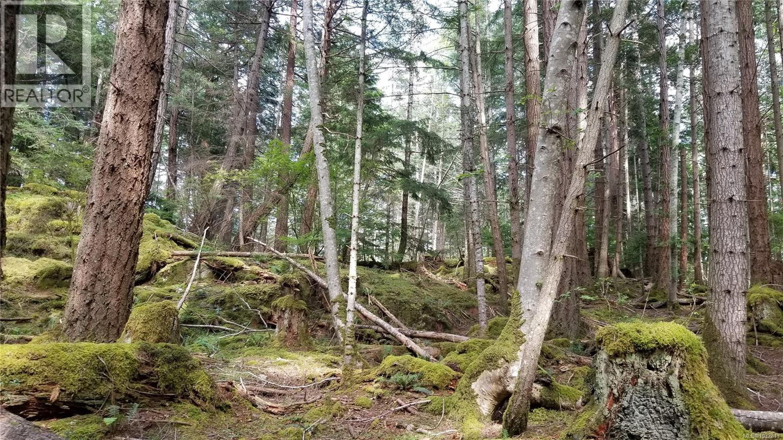 A Millicheap Rd, Lasqueti Island, British Columbia  V0R 2J0 - Photo 5 - 1032813