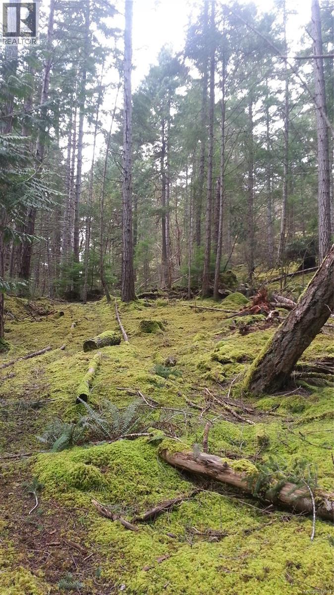 A Millicheap Rd, Lasqueti Island, British Columbia  V0R 2J0 - Photo 6 - 1032813