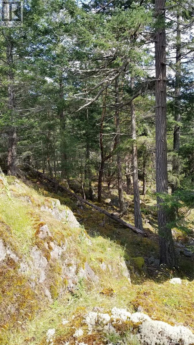 A Millicheap Rd, Lasqueti Island, British Columbia  V0R 2J0 - Photo 7 - 1032813