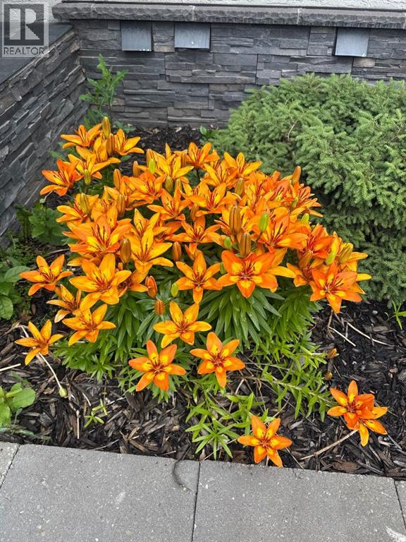 24 Silvertip Drive, Rural Foothills County, Alberta  T1V 1Z2 - Photo 27 - A2285821