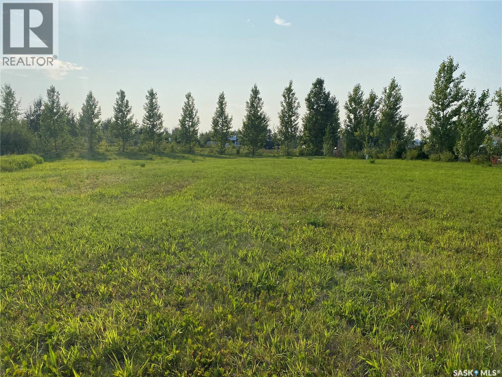 D Lucien Lakeshore Drive, Three Lakes Rm No. 400, Saskatchewan  S0K 2X0 - Photo 10 - SK033777