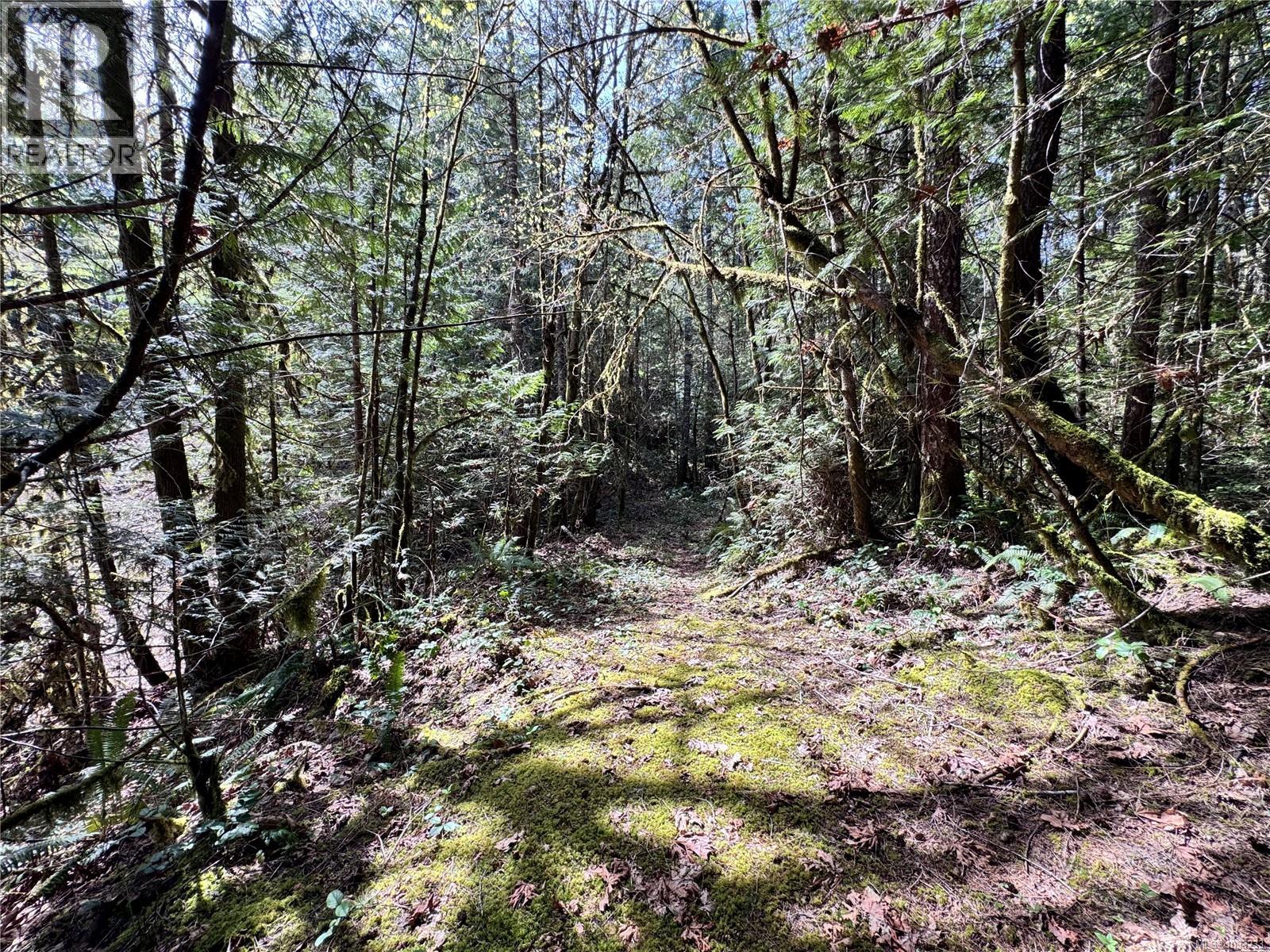 4621 Tipperary Rd, Duncan, British Columbia  V9L 6J5 - Photo 7 - 1033233