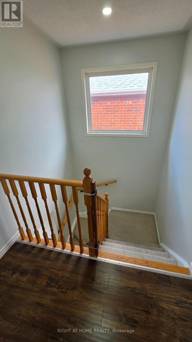 15 Tanglemere Crescent, Brampton, Ontario  L7A 1R7 - Photo 44 - W13036978