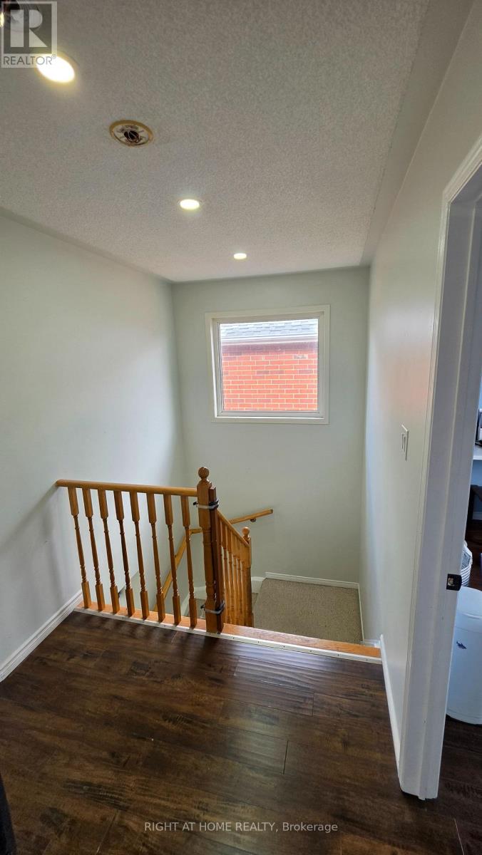 15 Tanglemere Crescent, Brampton, Ontario  L7A 1R7 - Photo 45 - W13036978