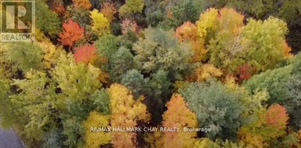 0 Hurdville Road, Mckellar, Ontario  P2A 0B5 - Photo 3 - X13036898