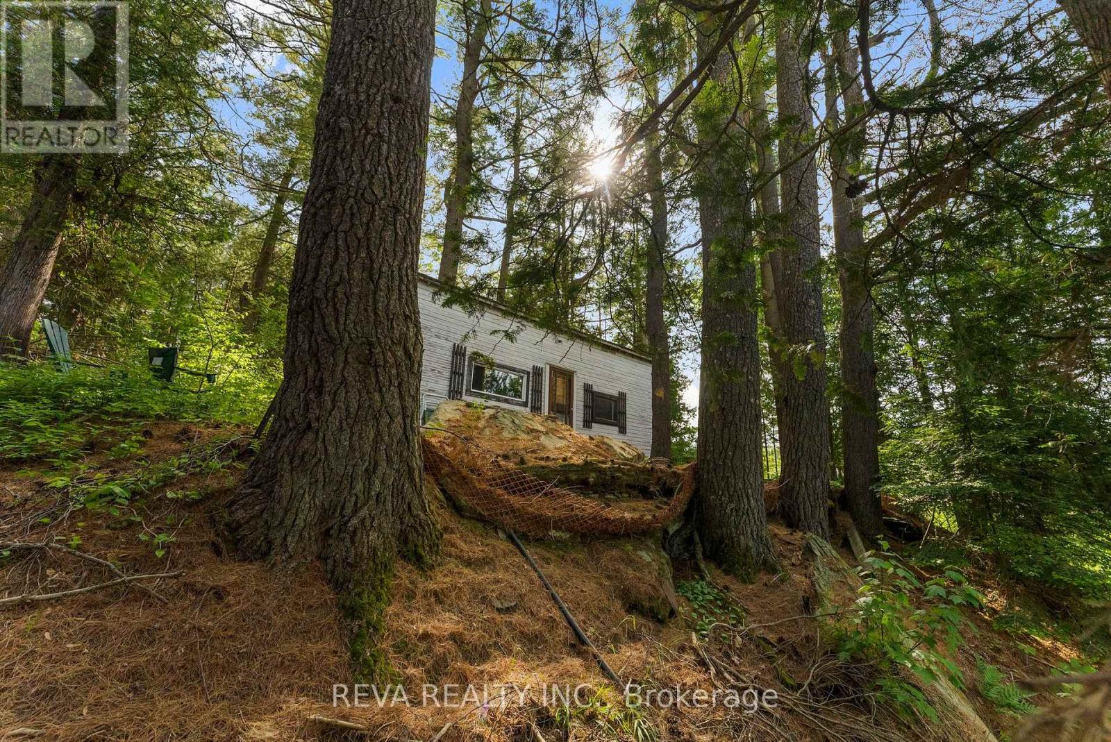 35532 Highway 28 Highway, Carlow/mayo, Ontario  K0L 2M0 - Photo 3 - X13037062