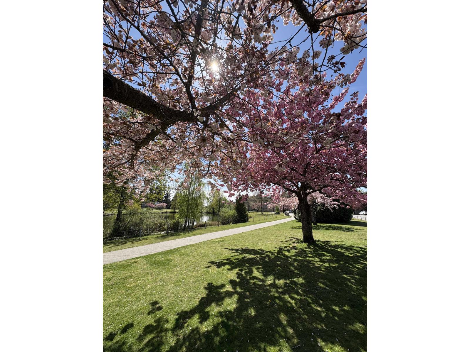 13 6211 W. Boundary Drive, Surrey, British Columbia  V3X 3G7 - Photo 38 - R3083556