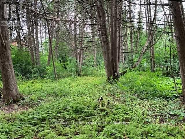 Lt 19 Rue Karola, Tiny, Ontario  L0L 2J0 - Photo 4 - S13037074
