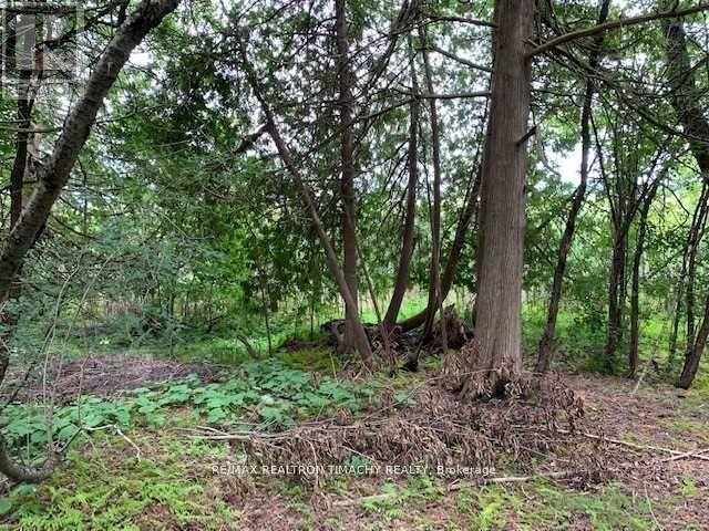 Lt 19 Rue Karola, Tiny, Ontario  L0L 2J0 - Photo 5 - S13037074