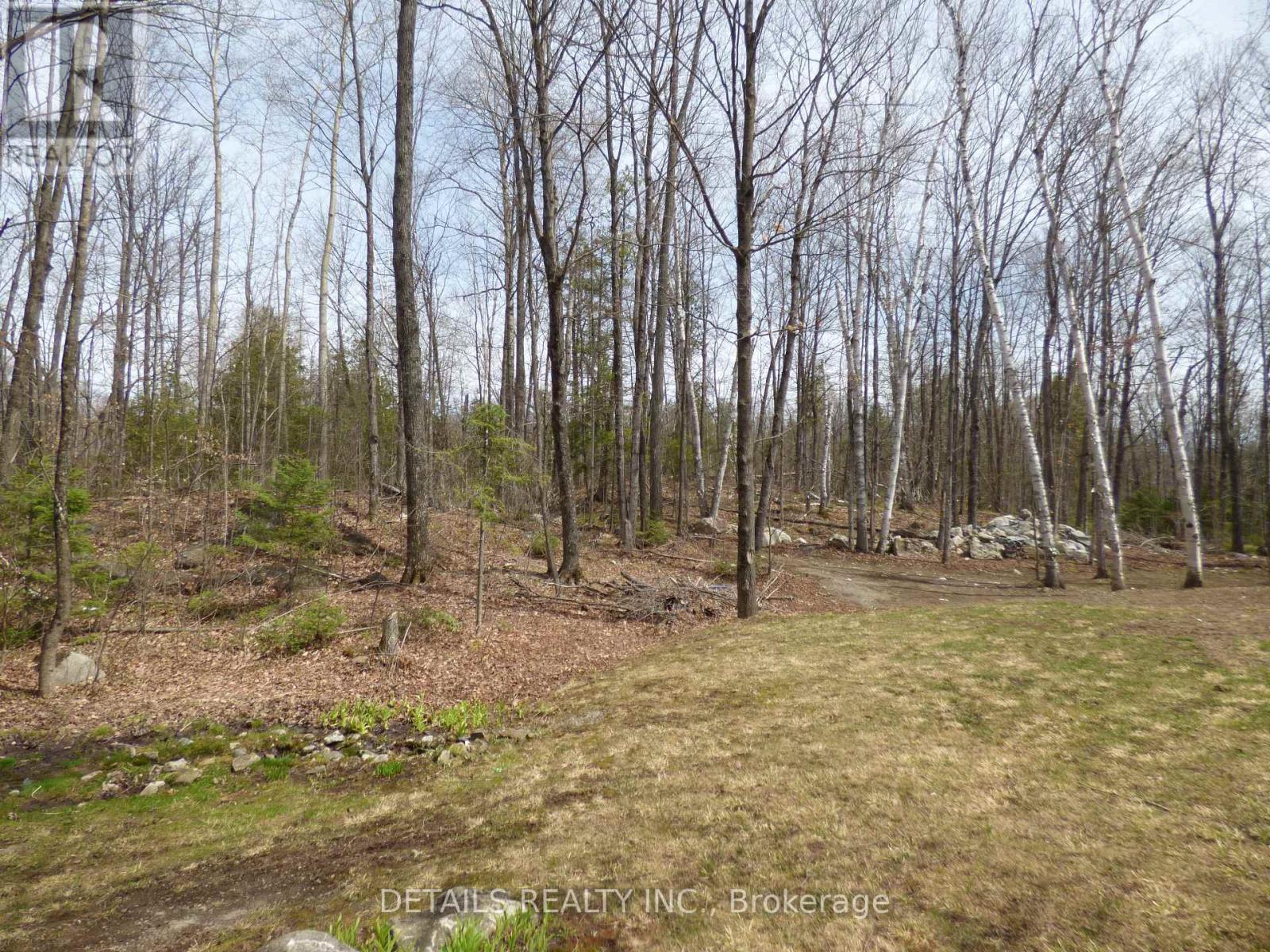 387 Campbell Side Road, Mississippi Mills, Ontario  K0A 3L0 - Photo 35 - X12694186