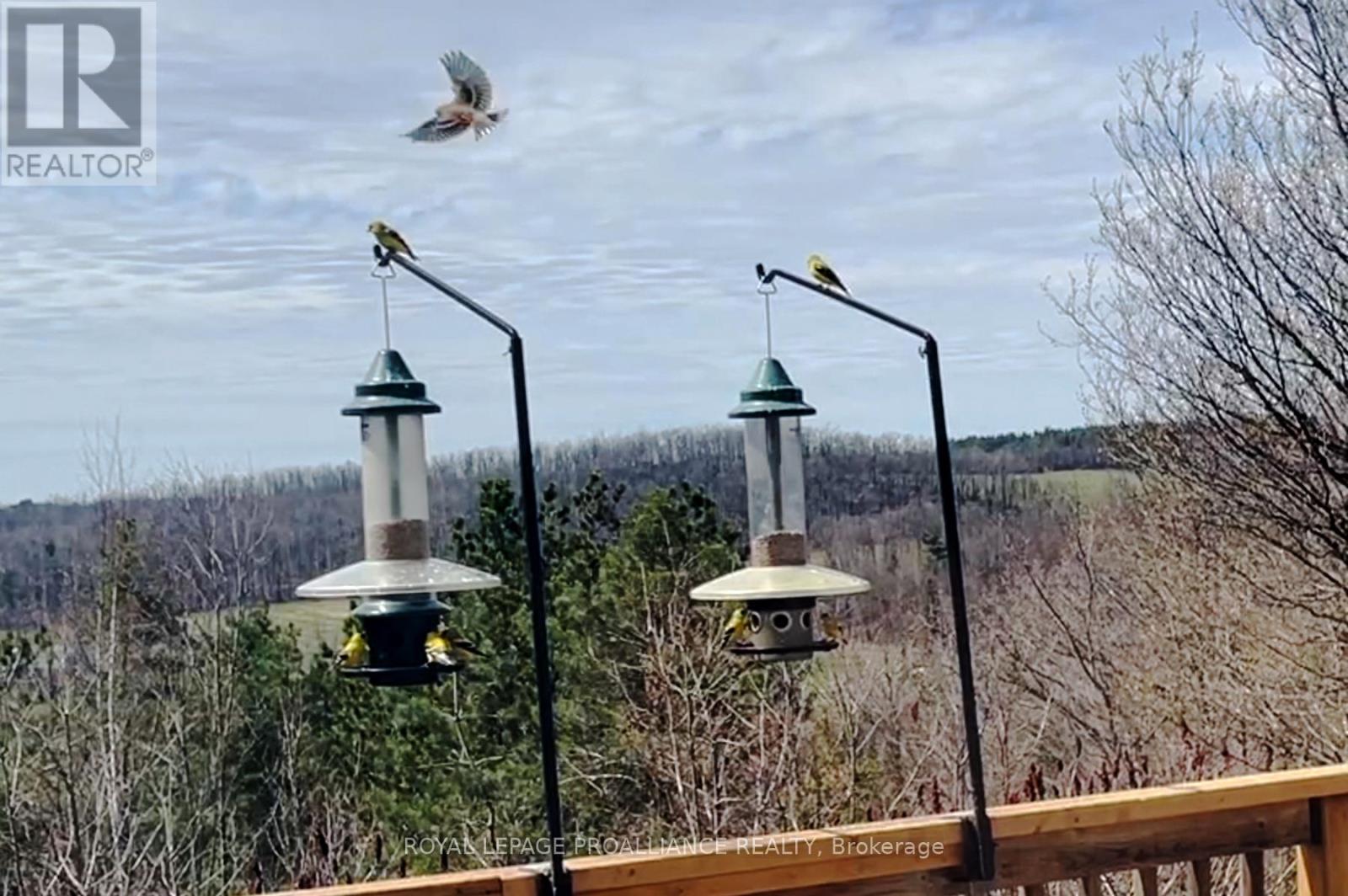 849 Bland Line, Cavan Monaghan, Ontario  L0A 1C0 - Photo 39 - X13033012