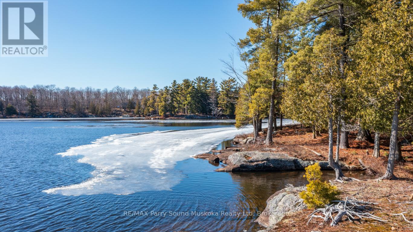 14 Silver Fox Drive, Mckellar, Ontario  P0G 1C0 - Photo 48 - X13037330
