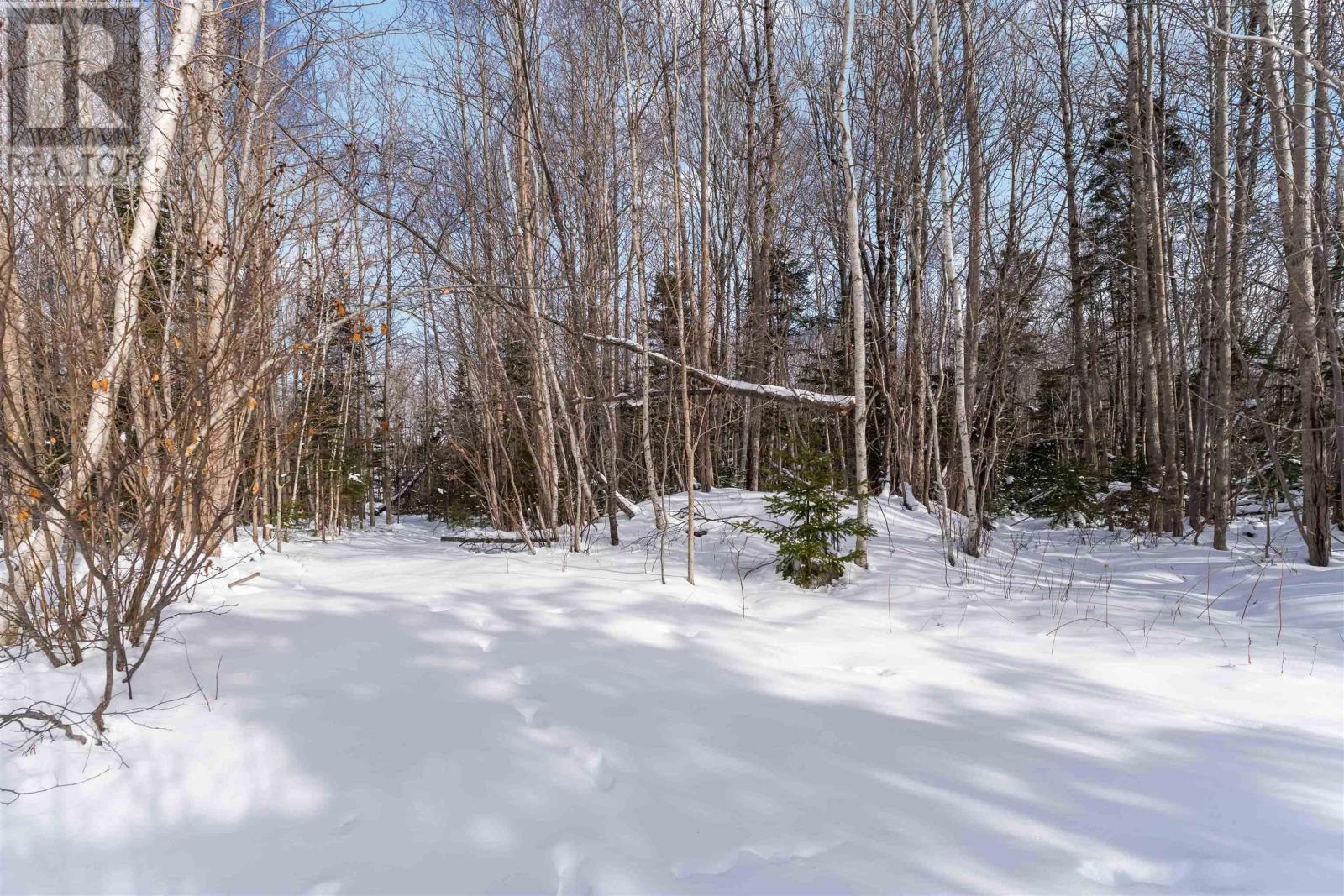 66 Ben Jackson Road, Hants Border, Nova Scotia  B0P 1P0 - Photo 36 - 202602155