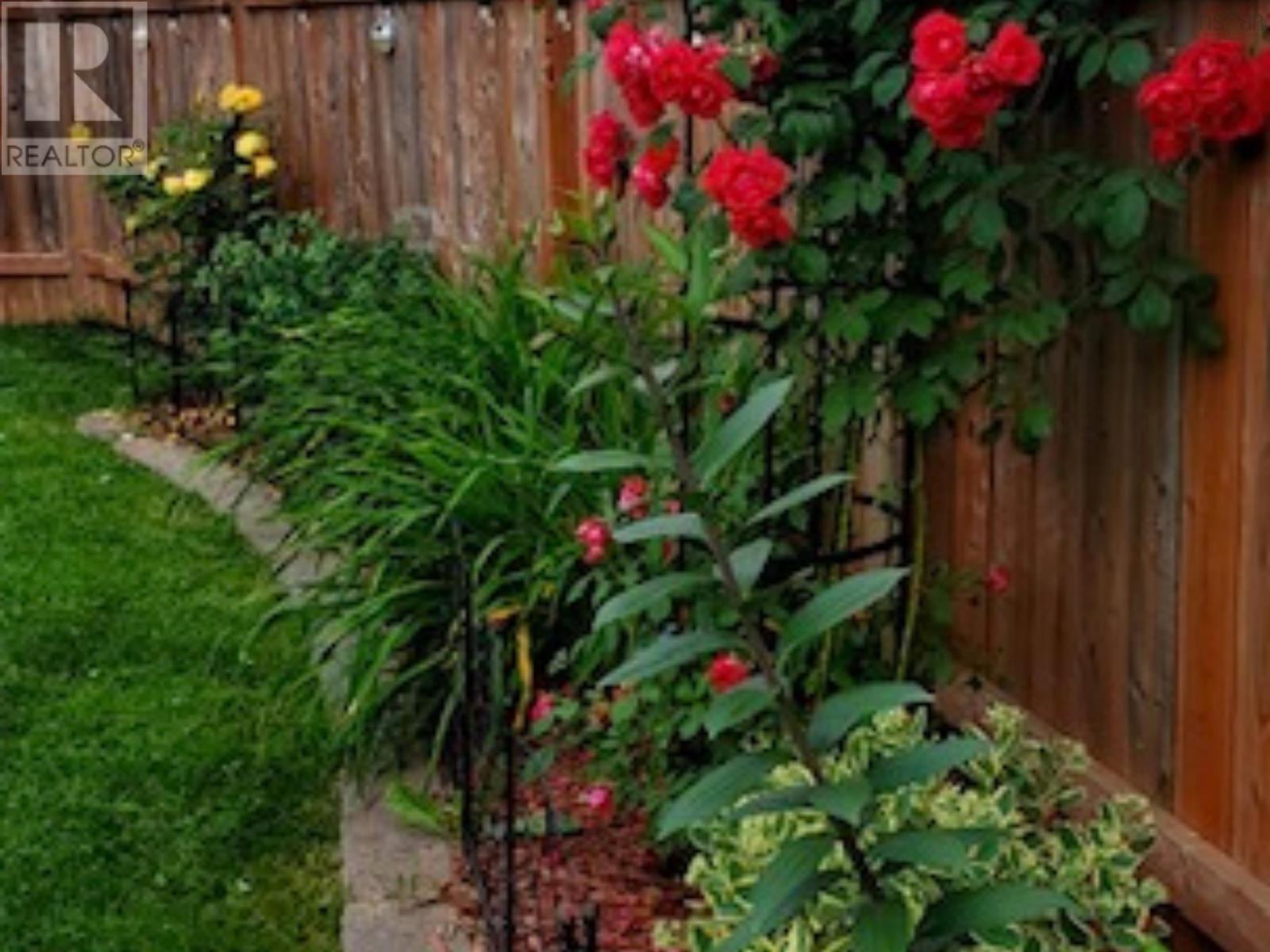 8 Wilson Avenue, Dartmouth, Nova Scotia  B2Y 2B3 - Photo 25 - 202608371