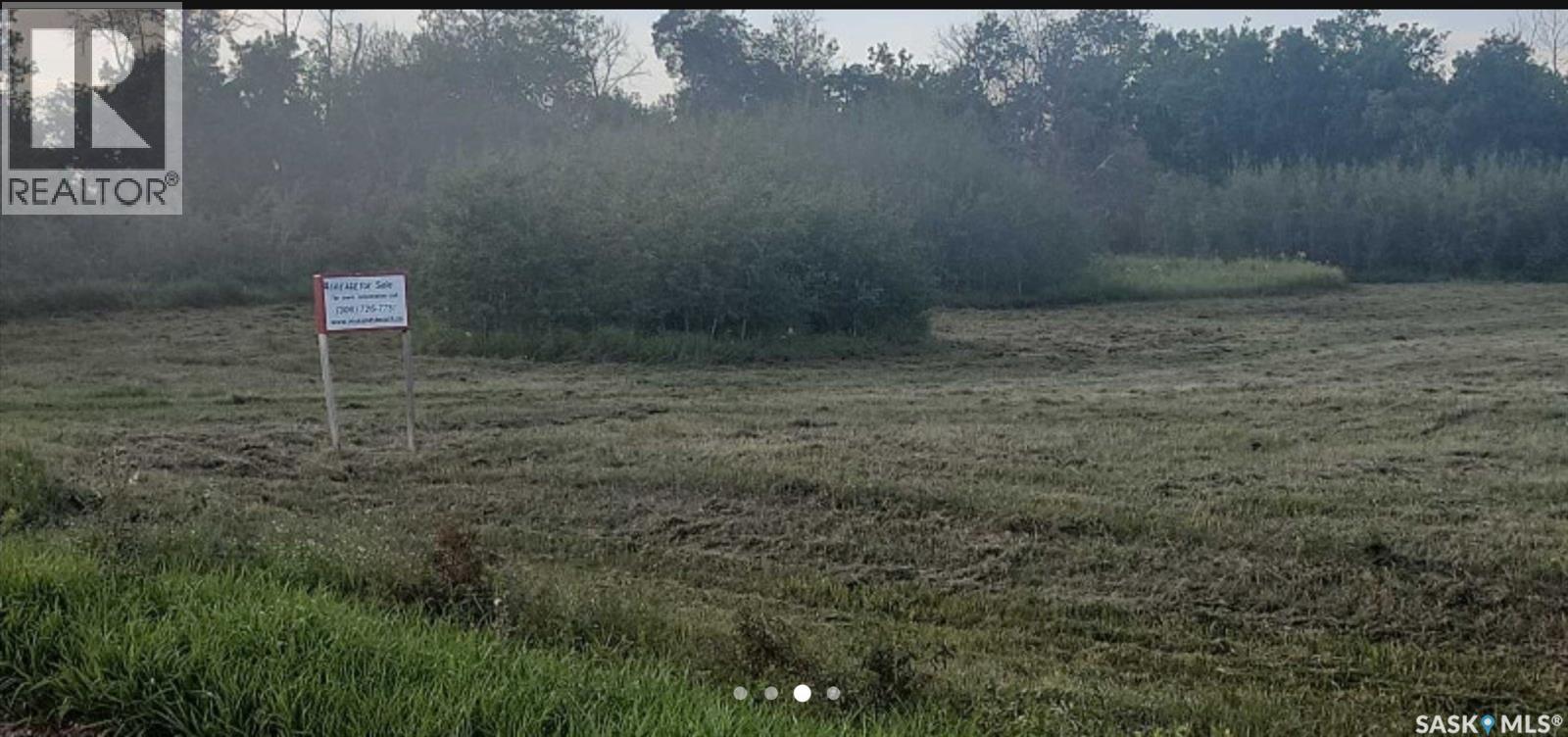 Rm Of Good Lake Acreage, Good Lake Rm No. 274, Saskatchewan  S0A 0L0 - Photo 3 - SK033247