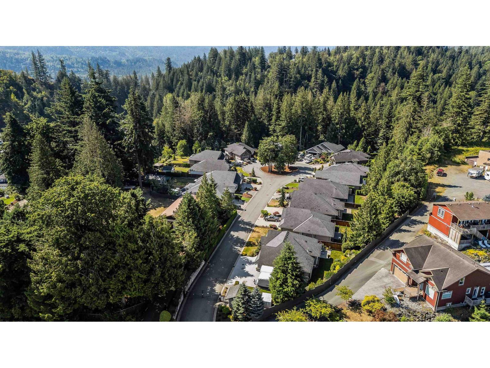 1 45348 Magdalena Place, Vedder Mountain, Cultus Lake, British Columbia  V2R 0K7 - Photo 28 - R3115076