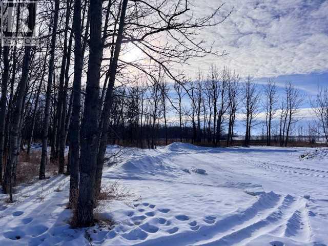 460021 Rge Rd 241, Rural Wetaskiwin No. 10, Alberta  T9A 1X1 - Photo 8 - A2282596