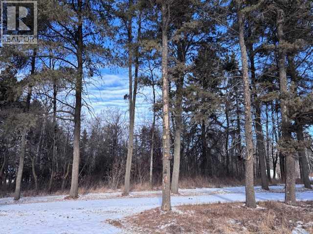 460021 Rge Rd 241, Rural Wetaskiwin No. 10, Alberta  T9A 1X1 - Photo 10 - A2282596