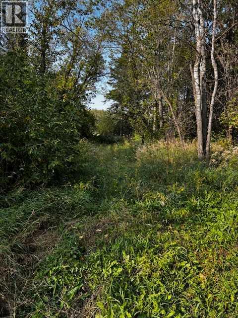 460021 Rge Rd 241, Rural Wetaskiwin No. 10, Alberta  T9A 1X1 - Photo 15 - A2282596