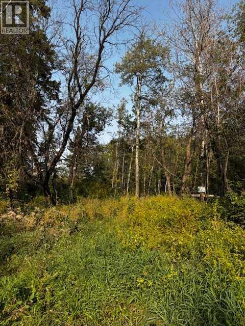 460021 Rge Rd 241, Rural Wetaskiwin No. 10, Alberta  T9A 1X1 - Photo 16 - A2282596