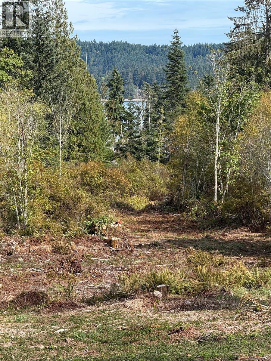 Lot 5 Country Rd, Fanny Bay, British Columbia  V0R 1W0 - Photo 6 - 1033257