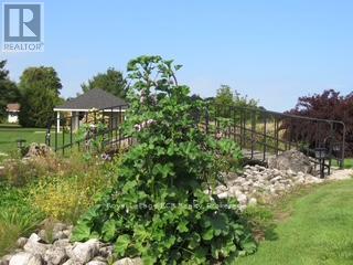 137525 Concession 7 Road, Georgian Bluffs, Ontario  N4K 5N5 - Photo 47 - X13037550