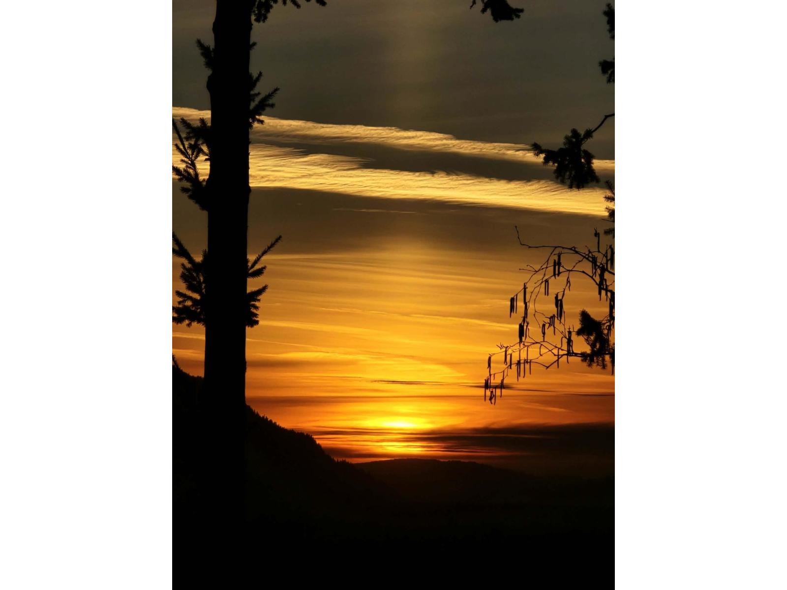 17 6262 Rexford Drive, East Chilliwack, Chilliwack, British Columbia  V2R 6B4 - Photo 38 - R3114290