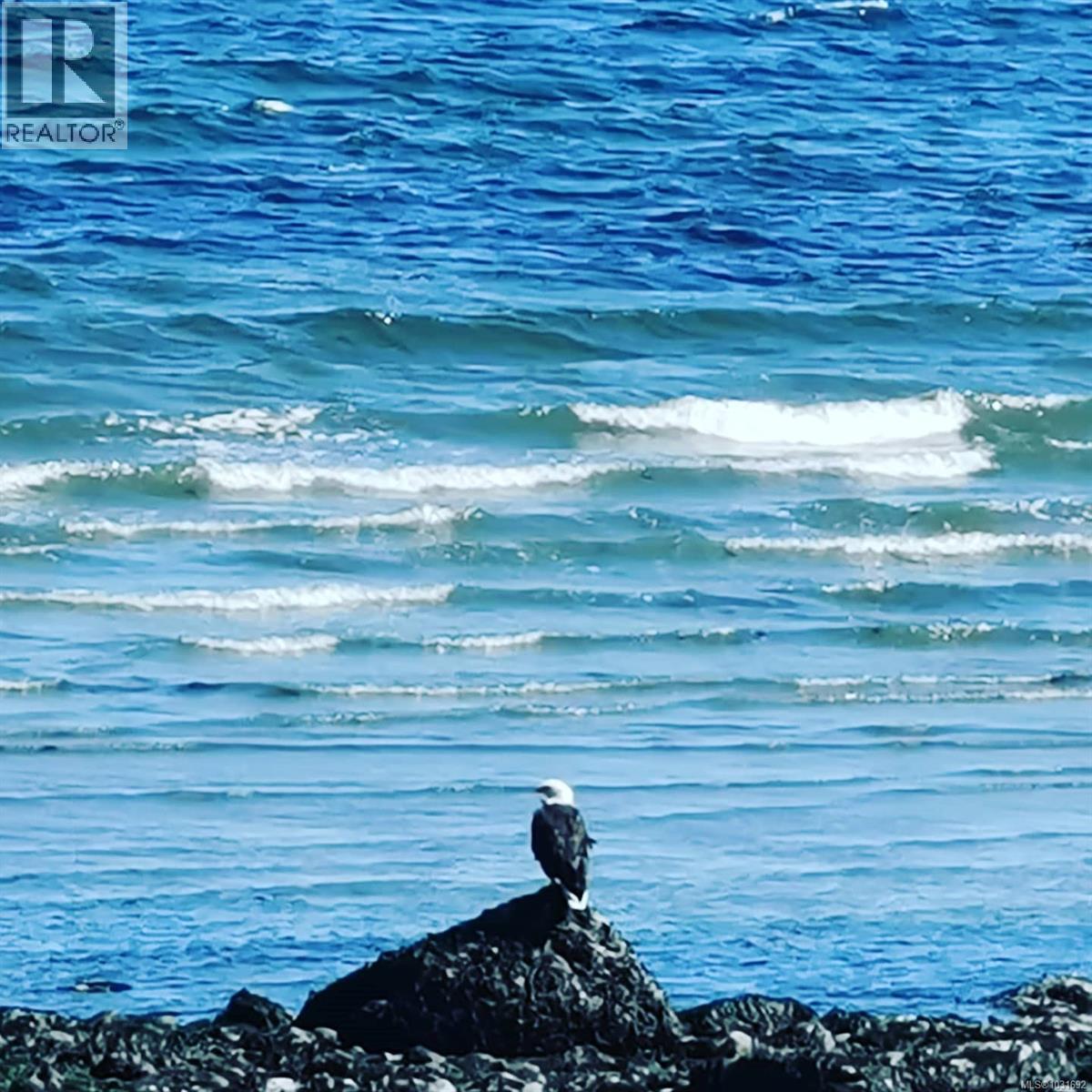 4123 Island Hwy S, Campbell River, British Columbia  V9H 1E9 - Photo 68 - 1031692