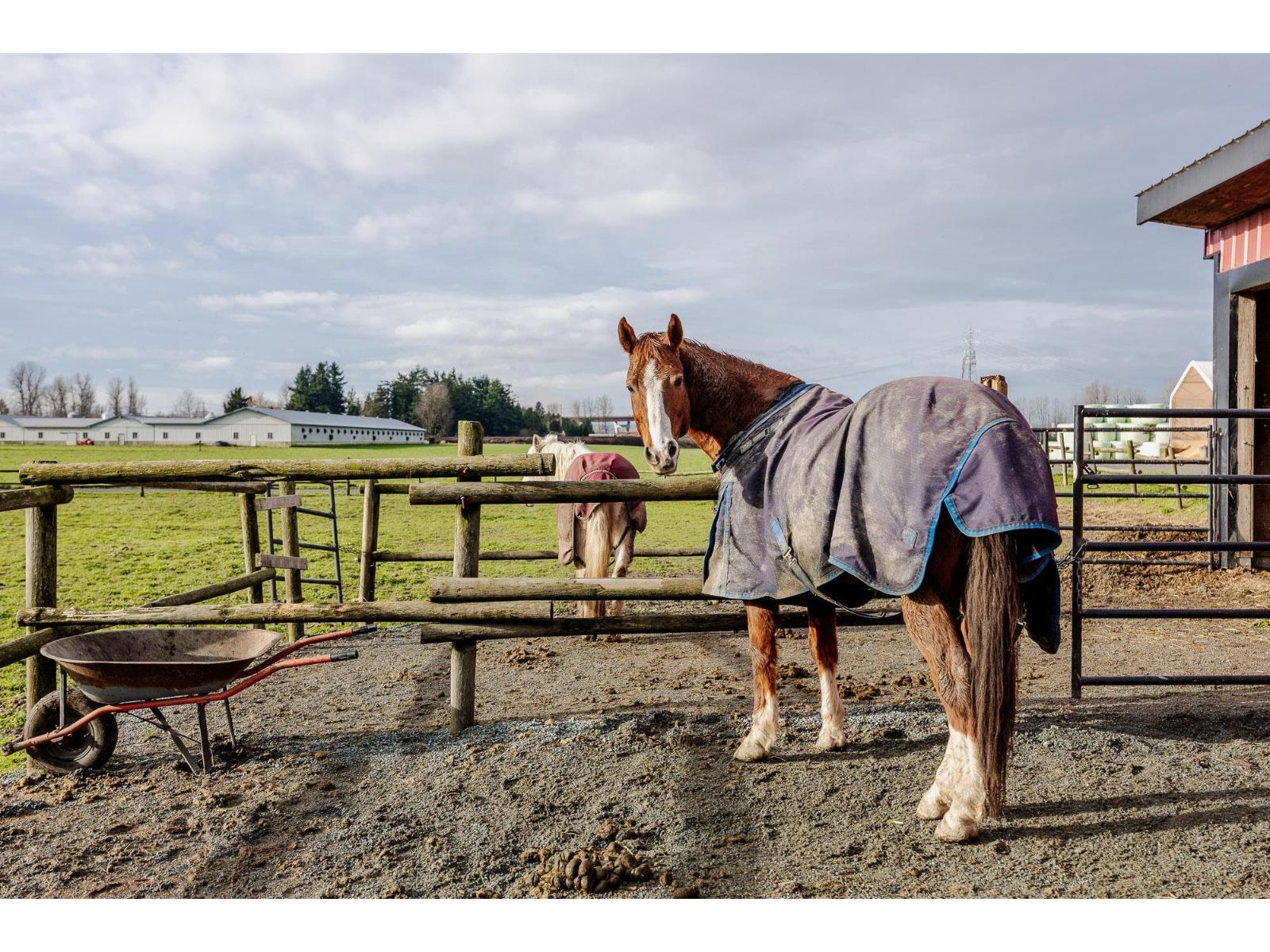33861 Sim Road, Abbotsford, British Columbia  V3G 1N2 - Photo 38 - R3078427