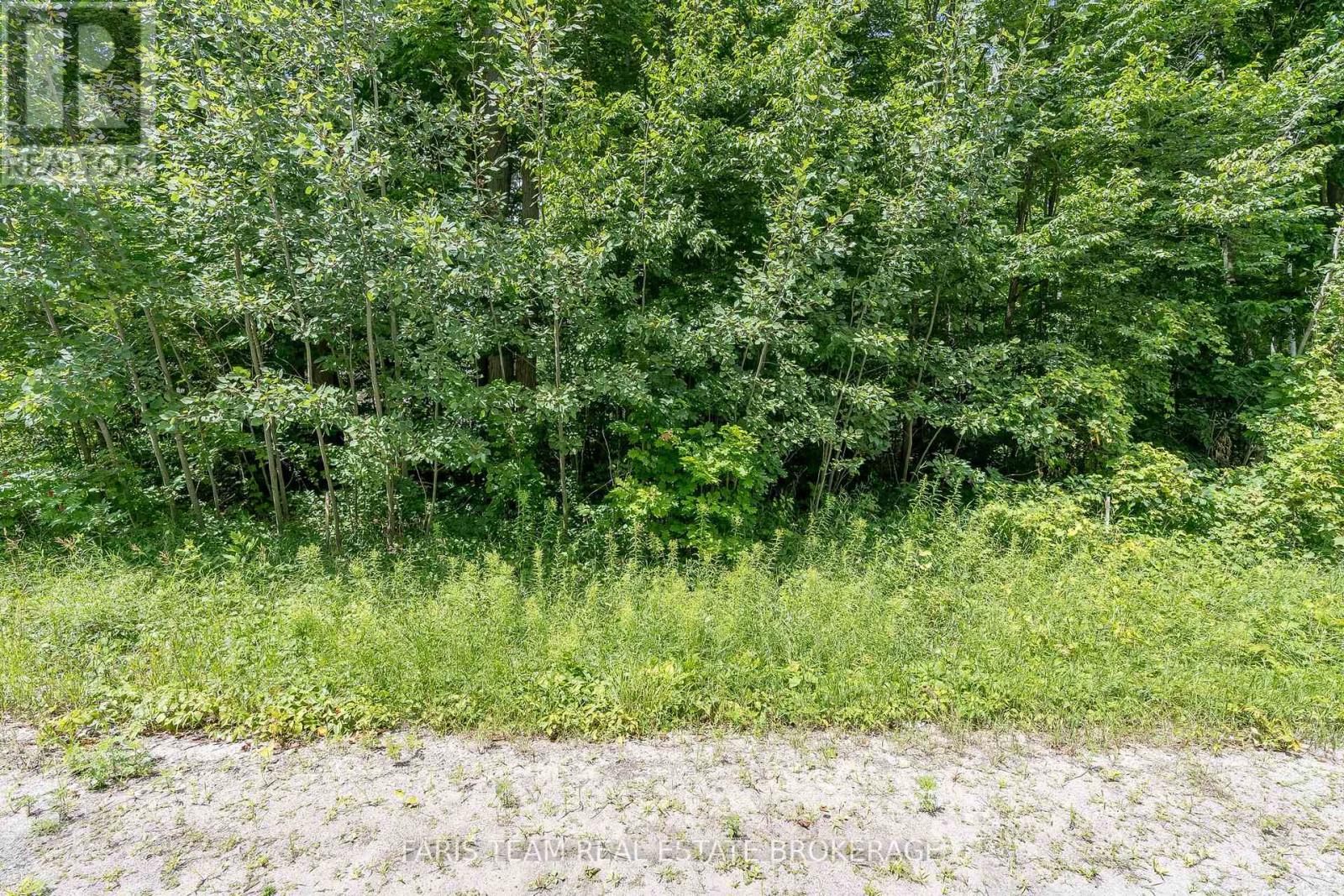 418 Concession 13 Road E, Tiny, Ontario  L9M 2H7 - Photo 3 - S13037426