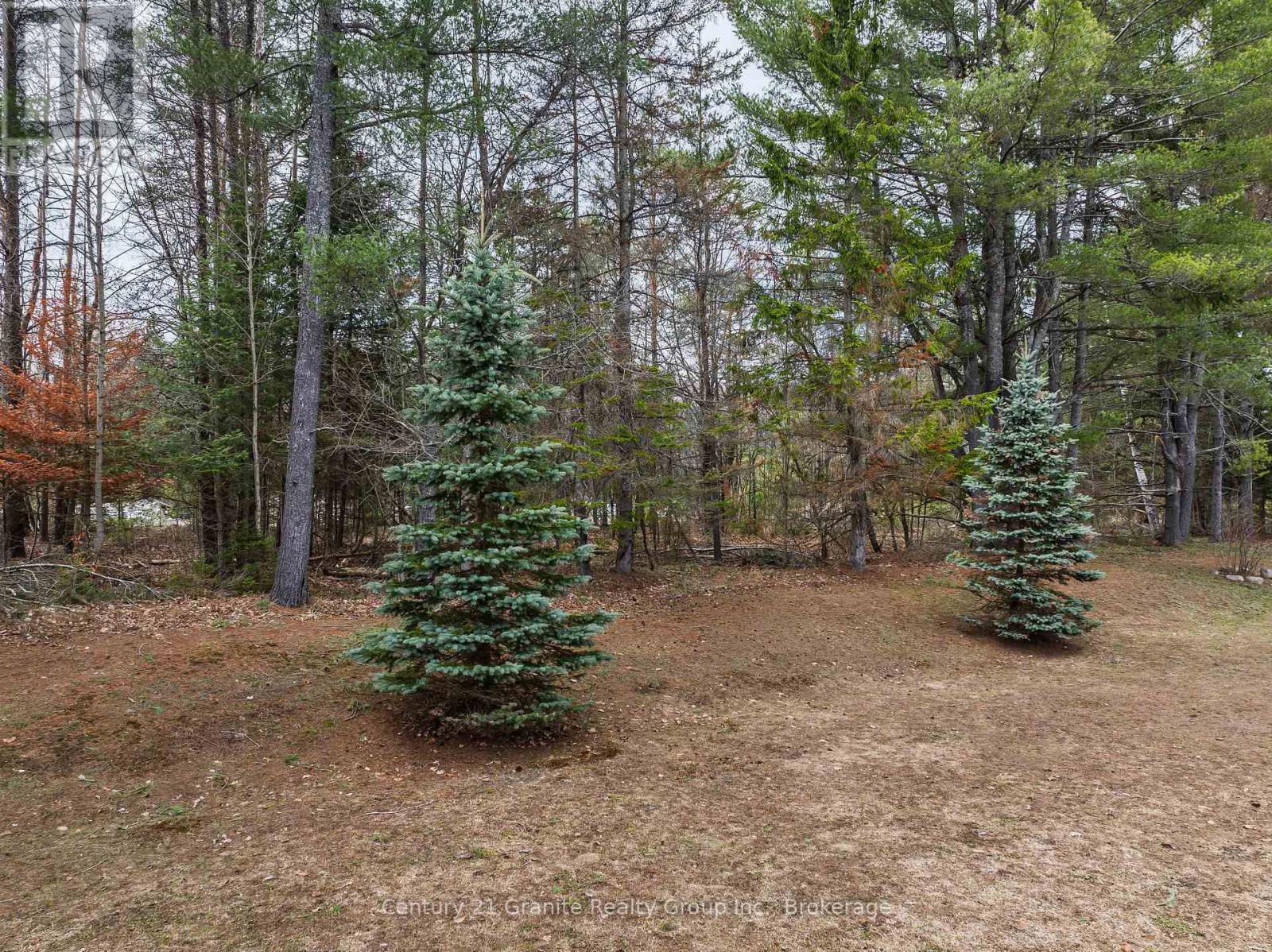 49 Webb Circle, Dysart Et Al, Ontario  K0M 1S0 - Photo 16 - X12908972