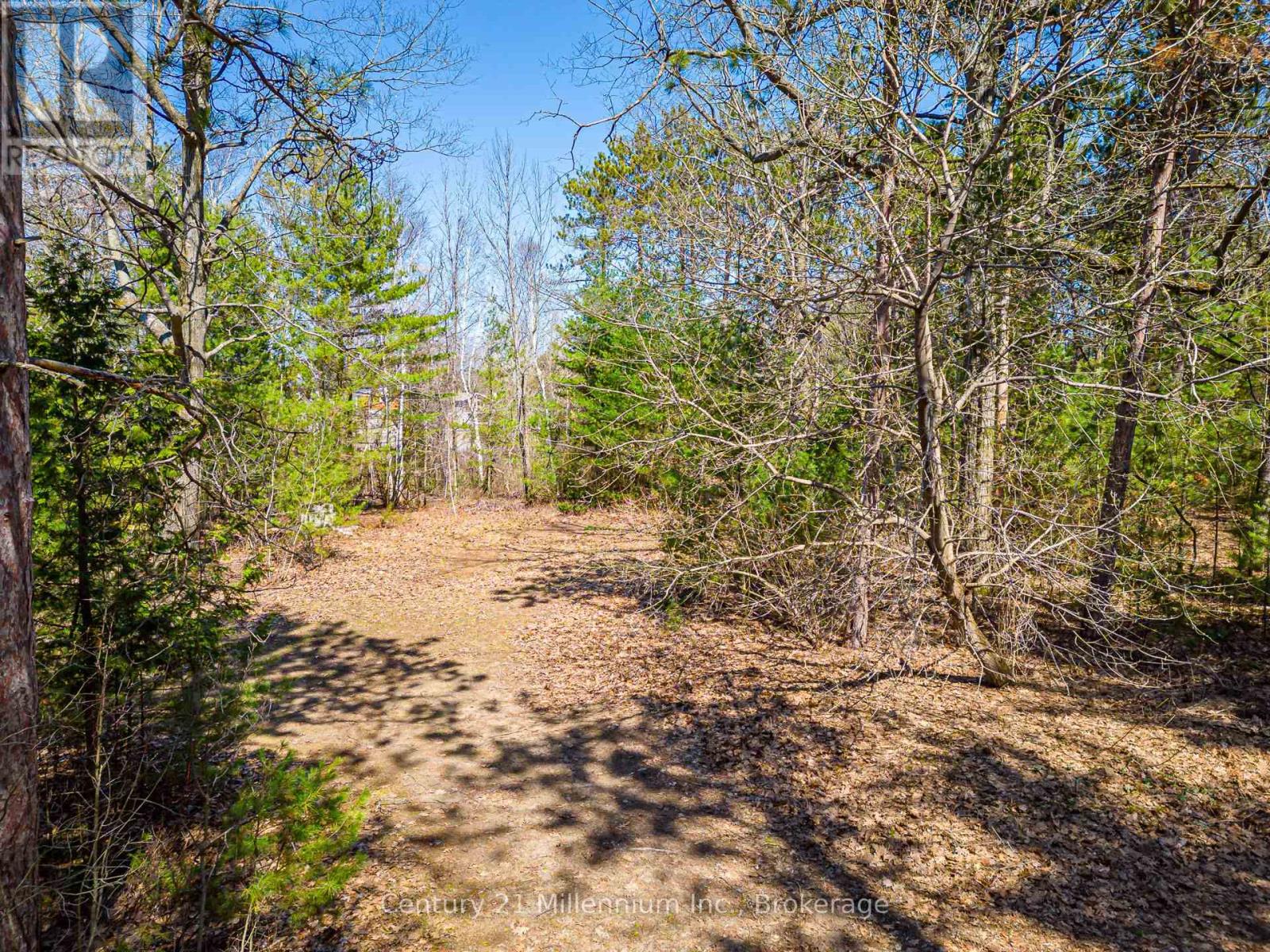 8 Poplar Street, Wasaga Beach, Ontario  L9Z 2X5 - Photo 34 - S13025998