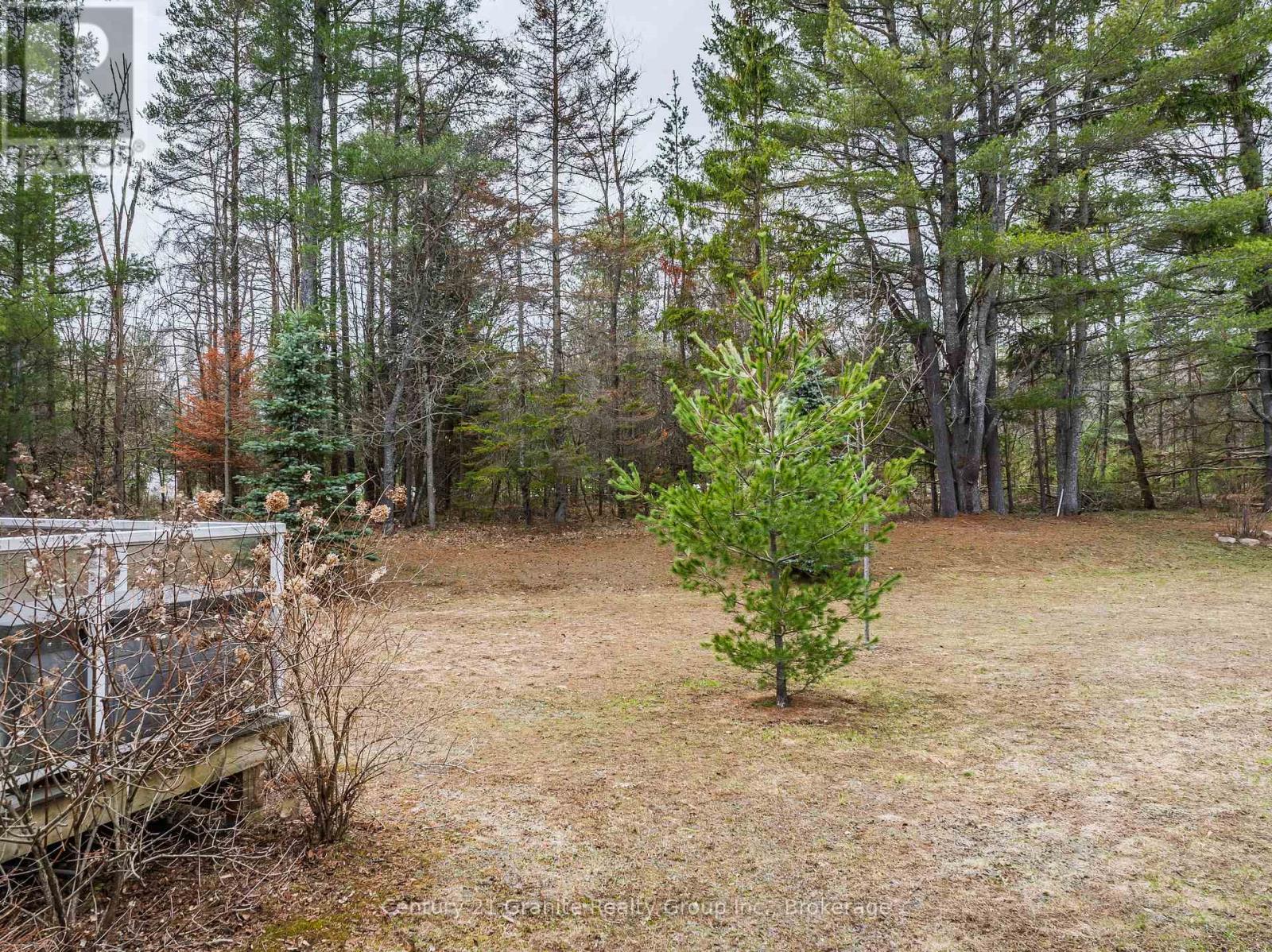 49 Webb Circle, Dysart Et Al, Ontario  K0M 1S0 - Photo 15 - X12908972