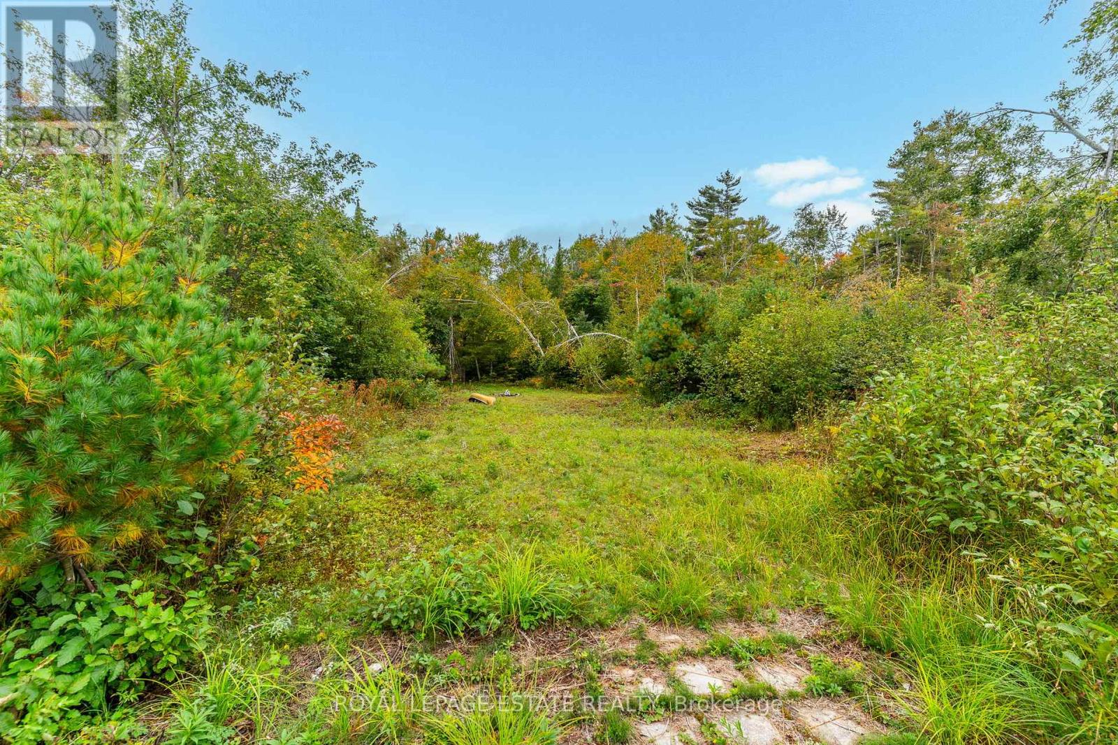 Lot 18 Crego Lake Road, Kawartha Lakes, Ontario  K0M 2A1 - Photo 11 - X13037578