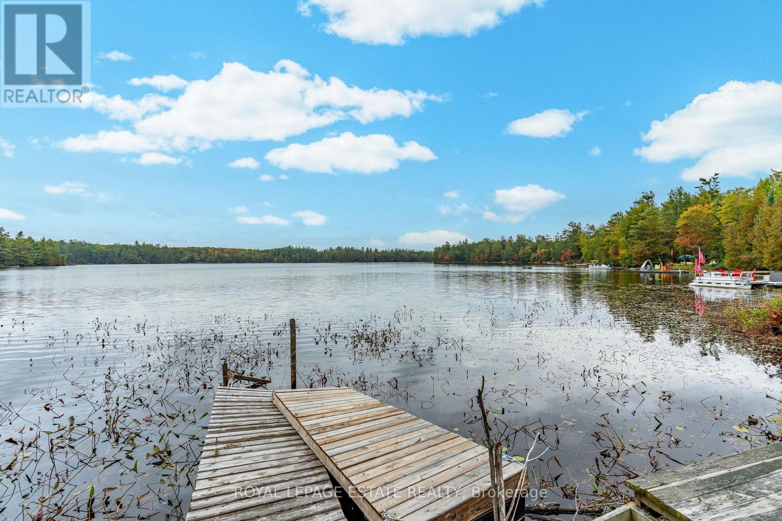 Lot 18 Crego Lake Road, Kawartha Lakes, Ontario  K0M 2A1 - Photo 12 - X13037578