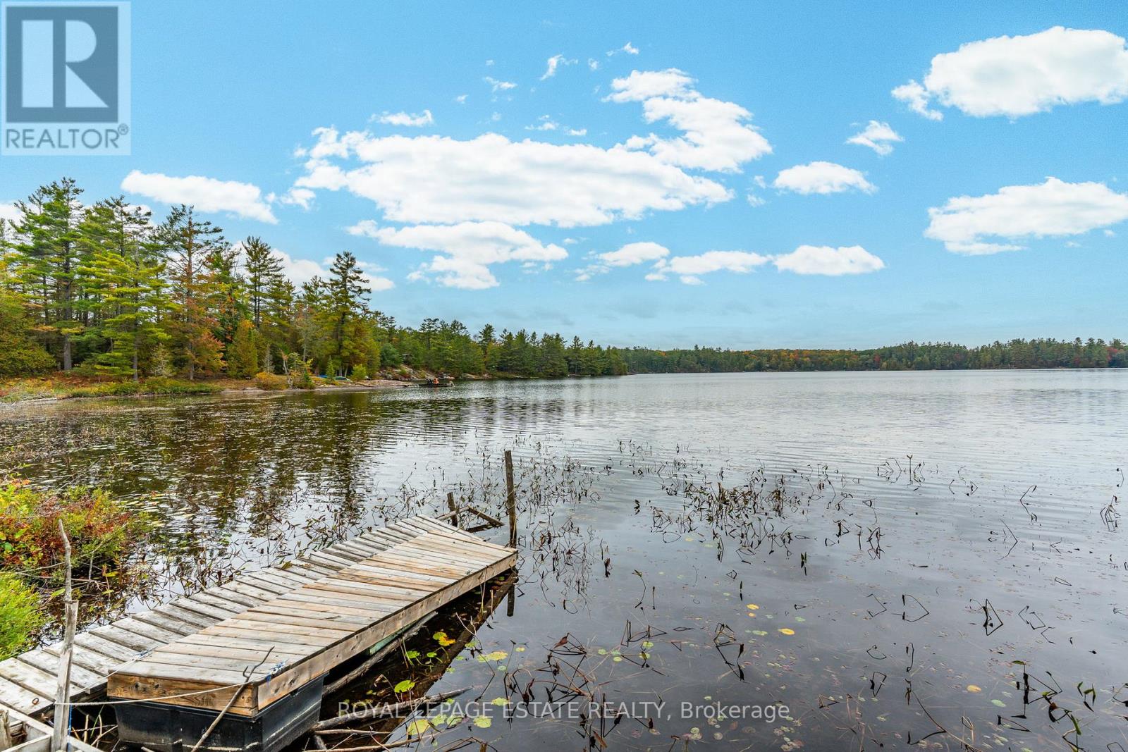 Lot 18 Crego Lake Road, Kawartha Lakes, Ontario  K0M 2A1 - Photo 13 - X13037578