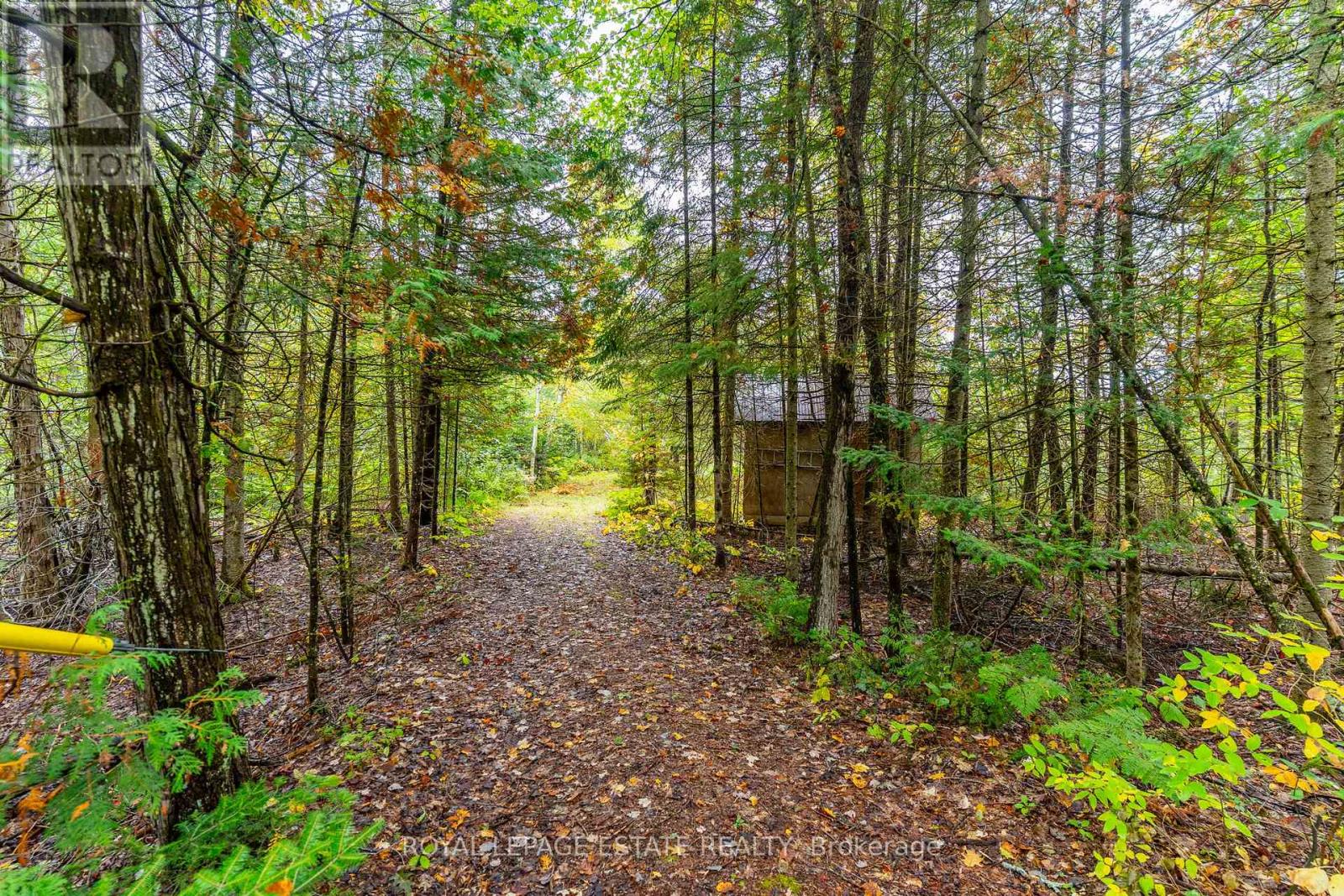 Lot 18 Crego Lake Road, Kawartha Lakes, Ontario  K0M 2A1 - Photo 20 - X13037578