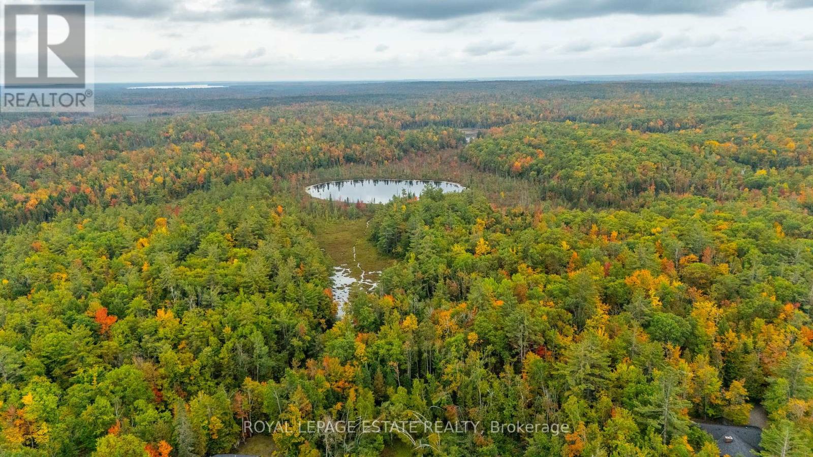 Lot 18 Crego Lake Road, Kawartha Lakes, Ontario  K0M 2A1 - Photo 4 - X13037578