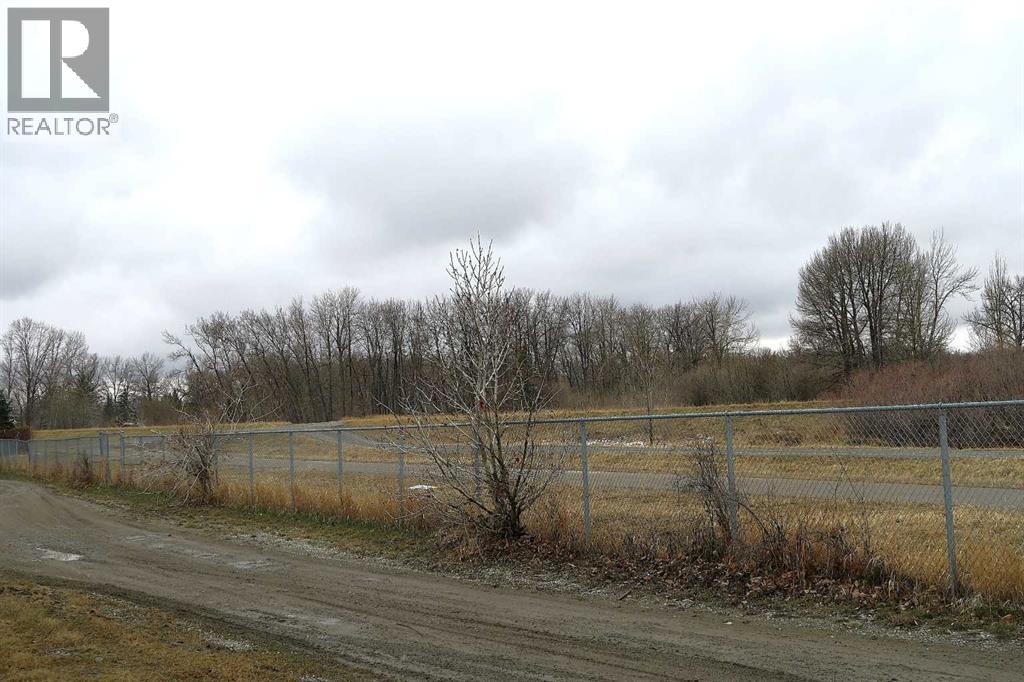 28 Riley Street NE, High River, Alberta  T2V 1G5 - Photo 15 - A2299302