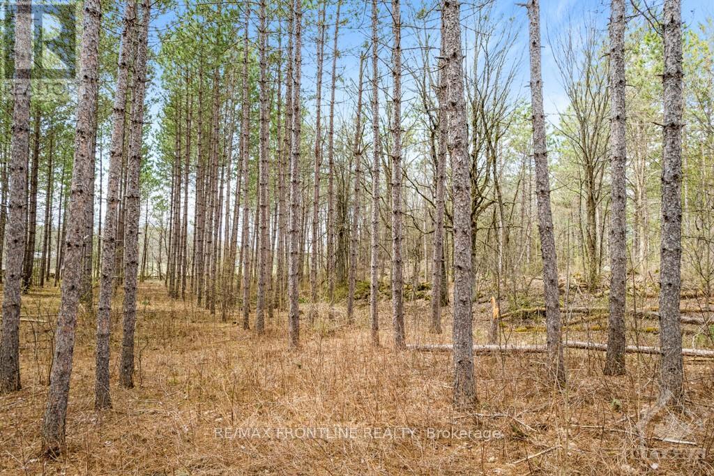 470 11th Line S Sherbrooke Road, Tay Valley, Ontario  K0H 2B0 - Photo 2 - X13037694