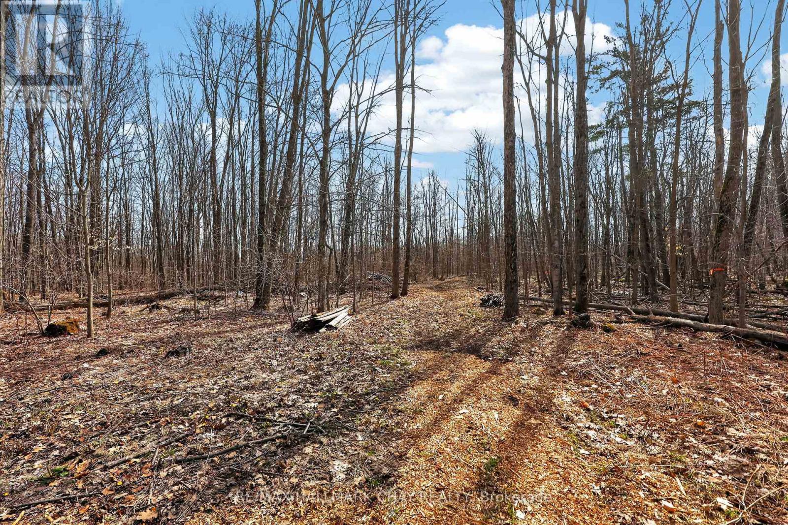 5709 Line 9 N, Oro-Medonte, Ontario  L0K 2C0 - Photo 44 - S13037470