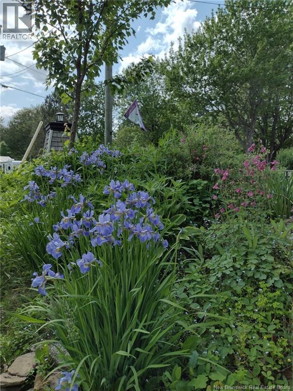 11 Wharf Road, Newcastle Creek, New Brunswick  E4R 2J8 - Photo 47 - NB137841