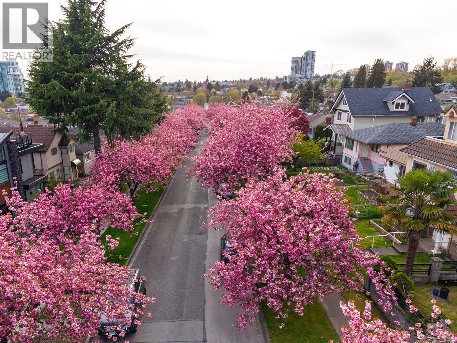 111 E 61st Avenue, Vancouver, British Columbia  V5X 2B3 - Photo 30 - R3106159