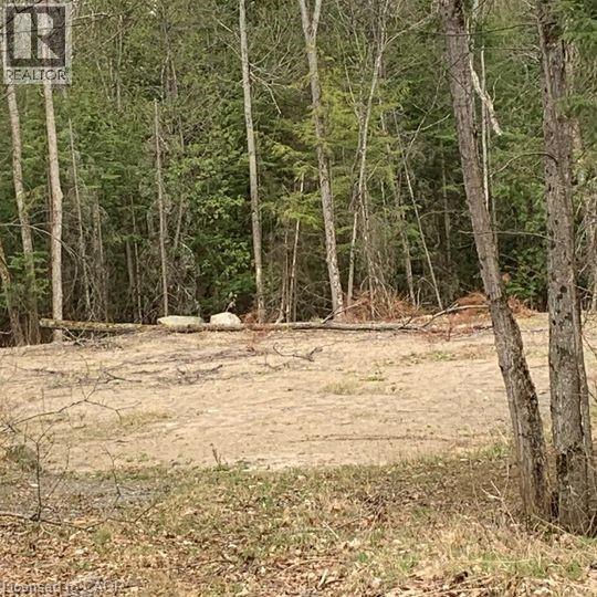 5 MOUNTAIN BASIN Drive, Parry Sound, Ontario