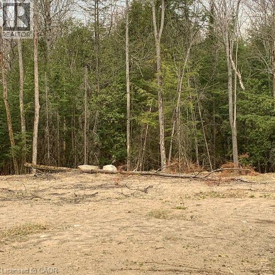 5 Mountain Basin Drive, Parry Sound, Ontario  P2A 2W9 - Photo 3 - 40823531