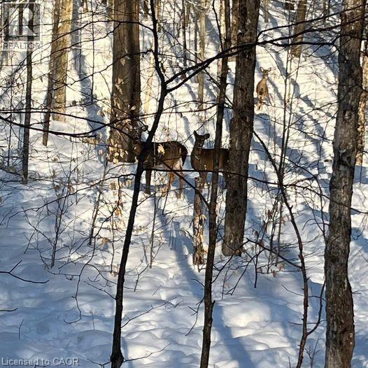 5 Mountain Basin Drive, Parry Sound, Ontario  P2A 2W9 - Photo 6 - 40823531