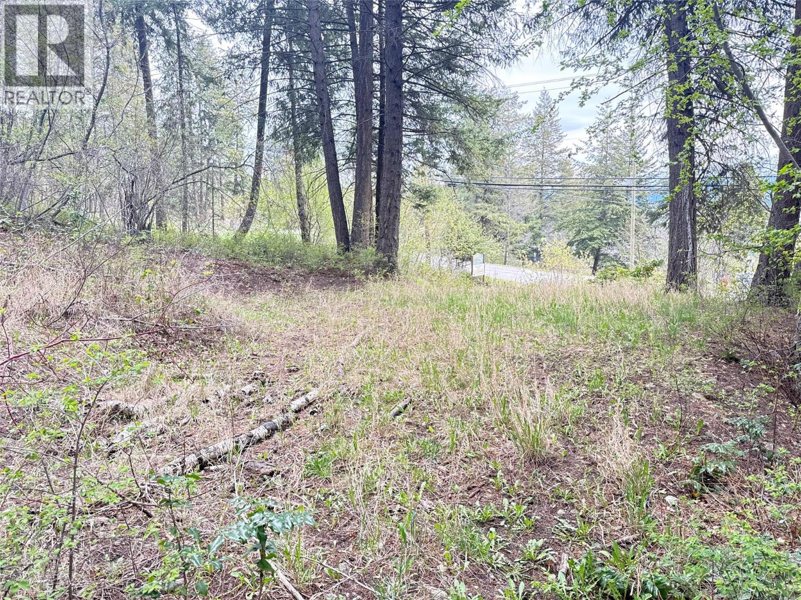 9394 Westside Road, Vernon, British Columbia  V1H 2G1 - Photo 3 - 10384461