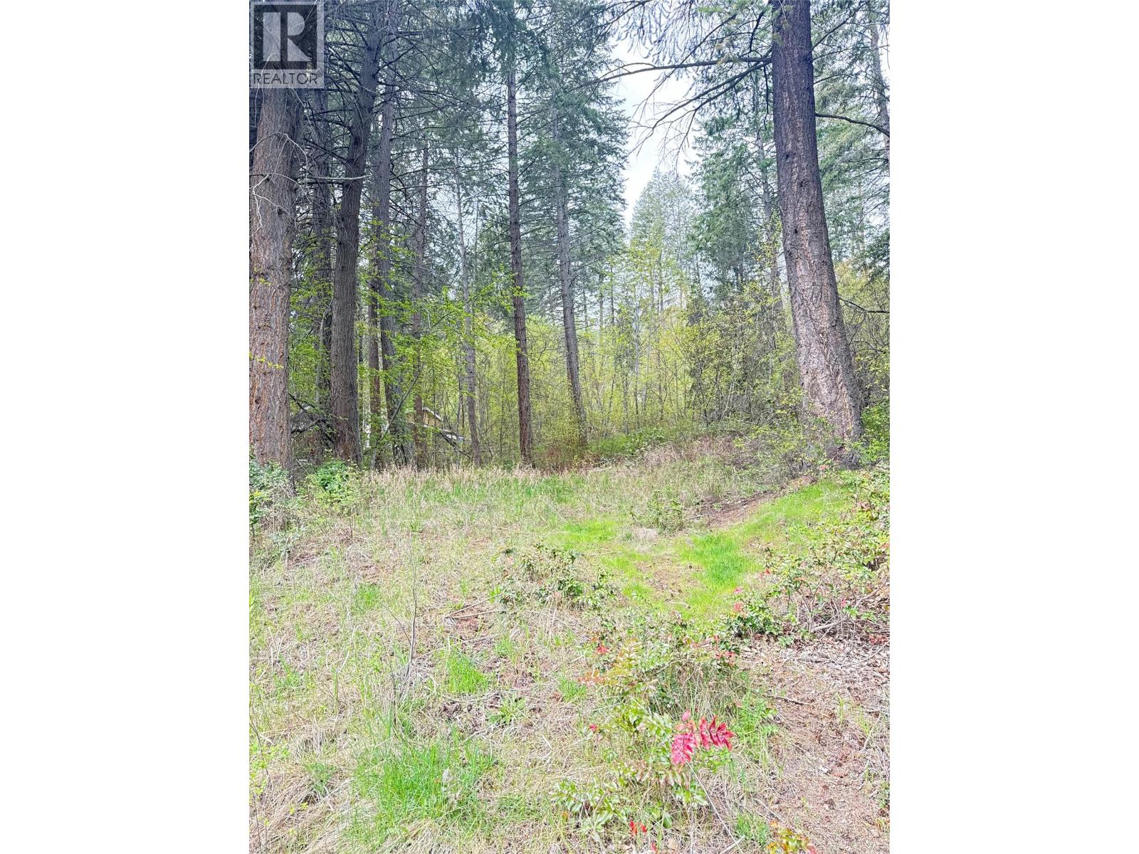 9394 Westside Road, Vernon, British Columbia  V1H 2G1 - Photo 4 - 10384461