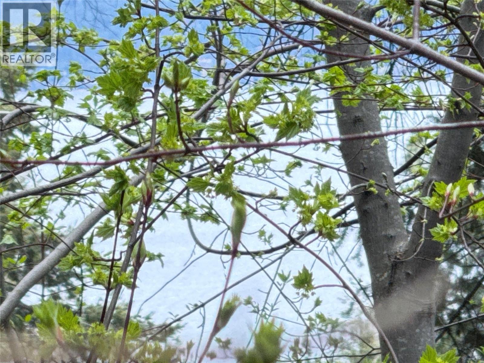 9394 Westside Road, Vernon, British Columbia  V1H 2G1 - Photo 6 - 10384461