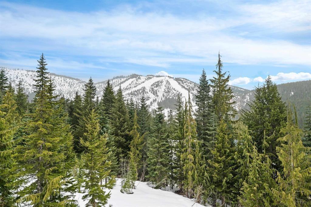 47065 Snowmist Drive, Mission, British Columbia  V0M 1A1 - Photo 10 - R3094302